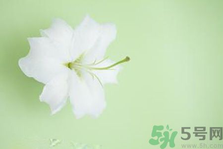 春季咳嗽怎么辦？春季咳嗽吃什么好？