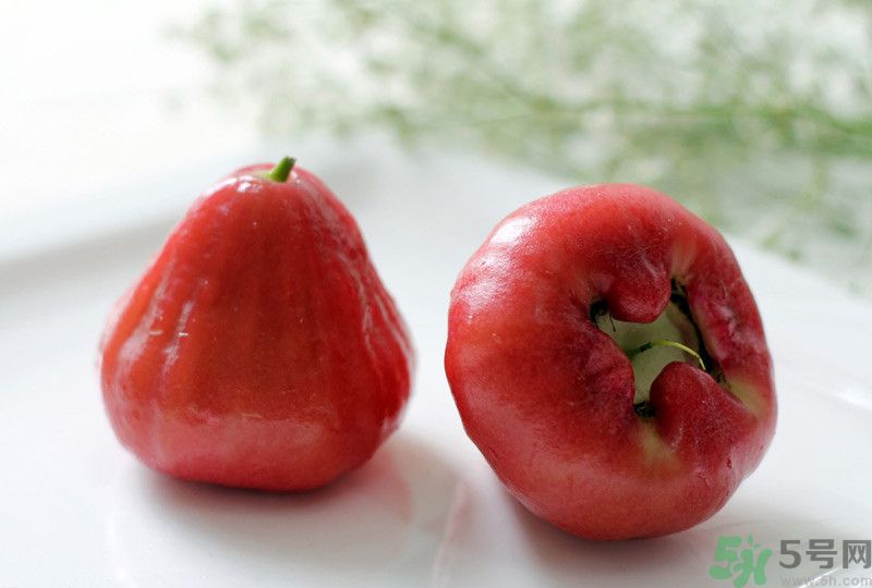 蓮霧皮能吃嗎？蓮霧要不要削皮？