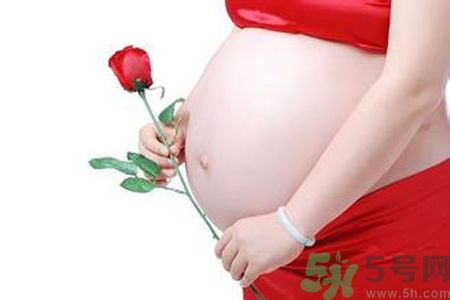 孕婦可以吃枸杞嗎？孕婦吃枸杞好嗎？