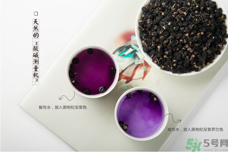 黑枸杞有什么功效？黑枸杞的好處有哪些？