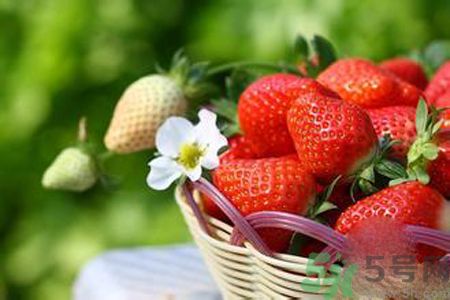 糖尿病可以吃草莓嗎？糖尿病吃草莓好嗎？