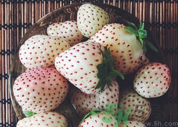 澳洲新型草莓已上市 澳洲新型草莓安全嗎？