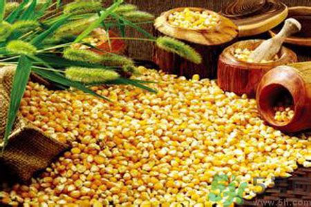 糖尿病可以吃玉米嗎？糖尿病吃玉米好嗎？