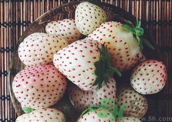 菠蘿莓好吃嗎？菠蘿莓好不好吃？