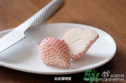 菠蘿莓好吃嗎？菠蘿莓好不好吃？