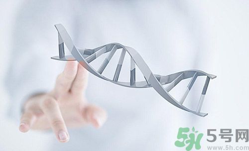 糖尿病會遺傳嗎？糖尿病會遺傳給胎兒嗎？