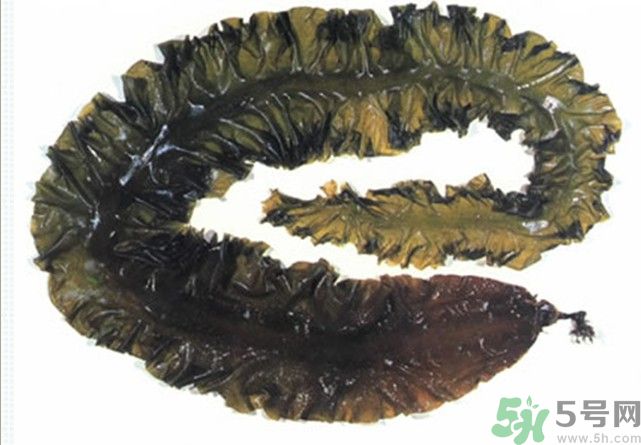 海帶用冷水泡還是熱水泡發(fā)？海帶怎么泡才不會(huì)發(fā)硬？