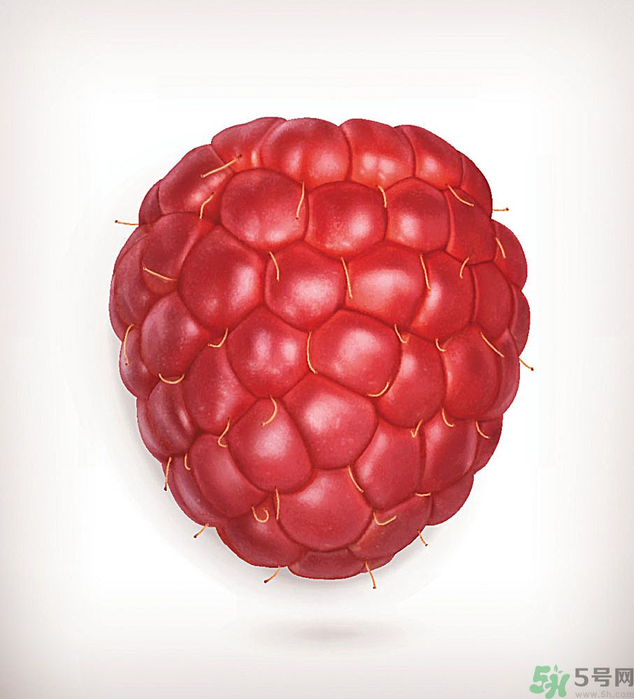 桑葚孕婦可以吃嗎？孕婦能不能吃桑葚？