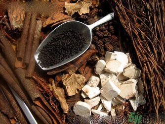 胃潰瘍吃什么藥？調(diào)理胃潰瘍的藥有哪些？