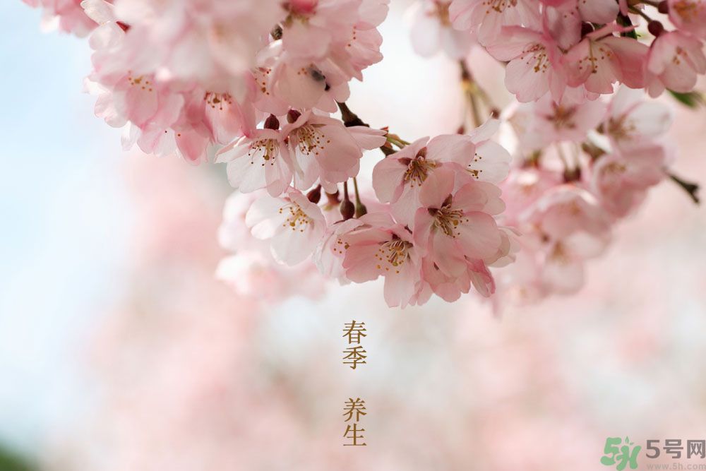 女性春季養(yǎng)生吃什么？女性春季怎么養(yǎng)生？