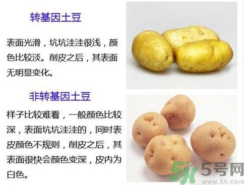 土豆變綠還能吃嗎？土豆變綠有什么危害？