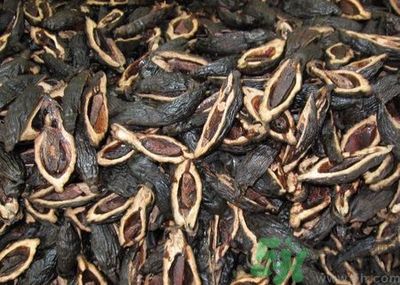 吃檳榔會致癌嗎？吃檳榔好不好？