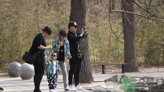 佟大為女兒叫什么？佟大為有2個女兒嗎？