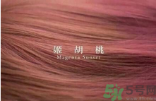 九大色系染發(fā)要怎么選擇？九大色系染發(fā)有什么要求？