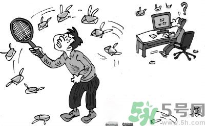 1分鐘被騙334萬(wàn) 釣魚郵件內(nèi)容是什么？