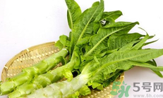 萵苣是什么菜?萵苣是什么季節(jié)的菜?.png 萵苣是什么菜?萵苣是什么季節(jié)的菜?.png