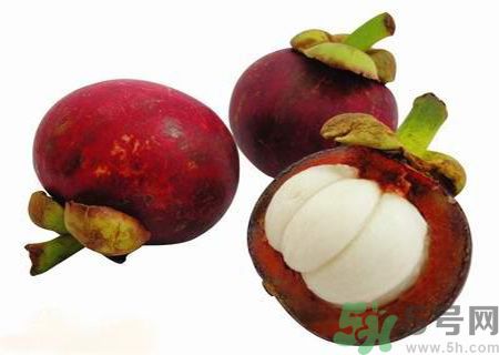 吃山竹會(huì)長胖嗎？山竹會(huì)使人發(fā)胖嗎？