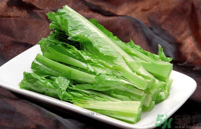 萵筍葉子能吃嗎？萵筍葉子吃了好不好？