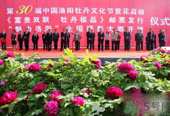 洛陽(yáng)牡丹文化節(jié)活動(dòng)有哪些？洛陽(yáng)牡丹文化節(jié)門(mén)票是多少？