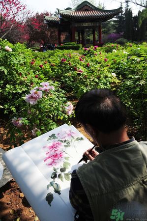 洛陽(yáng)牡丹文化節(jié)活動(dòng)有哪些？洛陽(yáng)牡丹文化節(jié)門(mén)票是多少？