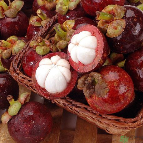 山竹可以和牛奶一起吃嗎？山竹和牛奶一起吃好嗎？