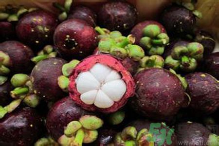 山竹可以和牛奶一起吃嗎？山竹和牛奶一起吃好嗎？