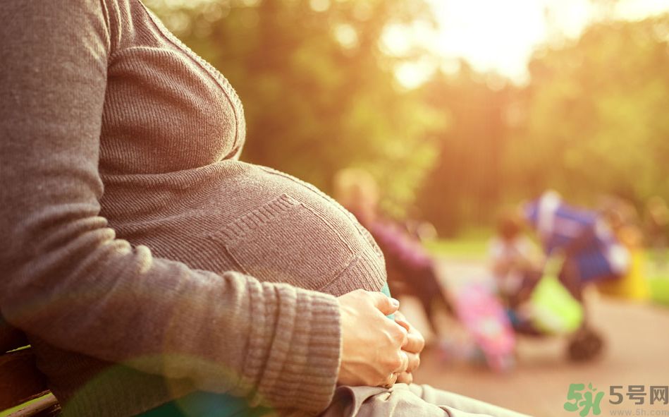 懷孕初期可以吃冬瓜嗎？懷孕初期吃冬瓜好嗎？