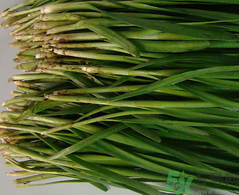 韭菜是壯陽的嗎?吃韭菜是不是壯陽?.png 韭菜是壯陽的嗎?吃韭菜是不是壯陽?.png