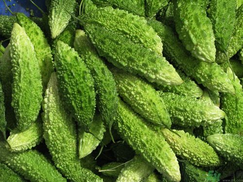 苦瓜和檸檬可以一起泡水喝嗎？苦瓜和檸檬泡水喝好嗎？