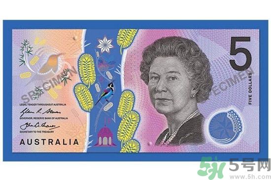 新版5澳元為什么被吐槽？新版5澳元是多少錢？