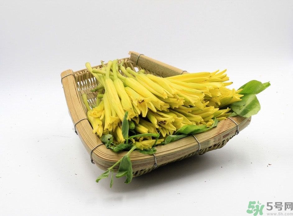 黃花菜可以治療抑郁癥嗎？兩噸黃花菜治好了抑郁癥是真的嗎？