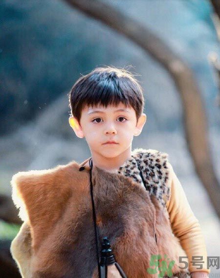 諾一雪梨是誰？為什么叫諾一雪梨？