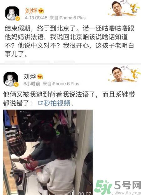 諾一雪梨是誰？為什么叫諾一雪梨？