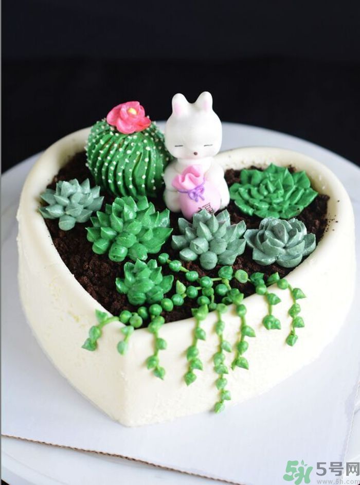 什么是多肉蛋糕？多肉蛋糕怎么做？