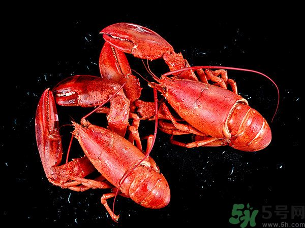 油燜大蝦為什么肉散了？油燜大蝦怎么做肉不散？