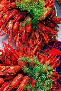 油燜大蝦用的是什么蝦？油燜大蝦用什么蝦最好？