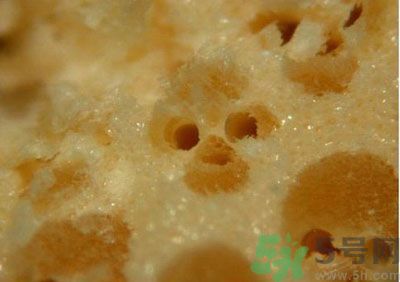 經(jīng)常用一次性筷子可以嗎？一次性筷子有病毒嗎？