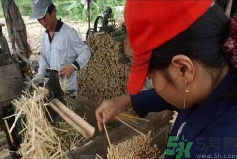 經(jīng)常用一次性筷子可以嗎？一次性筷子有病毒嗎？