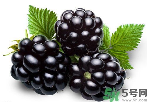 膽囊炎能吃桑葚嗎？膽囊炎吃桑葚好嗎？