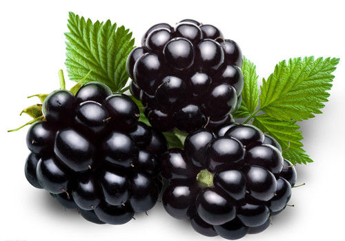 膽囊炎能吃桑葚嗎？膽囊炎吃桑葚好嗎？