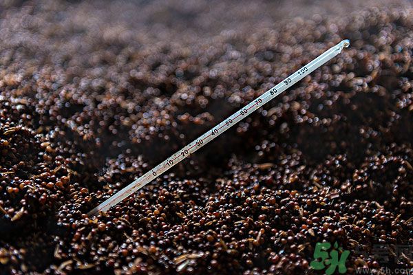 嬰兒測(cè)溫湯匙怎么樣？嬰兒測(cè)溫湯匙好用嗎？