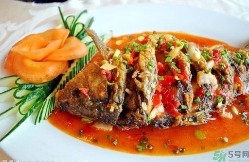 世界上最好吃的魚是什么？好吃的魚店有哪些？