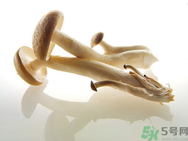 菇類的營養(yǎng)價值有哪些？怎樣挑選優(yōu)質(zhì)的菇類？