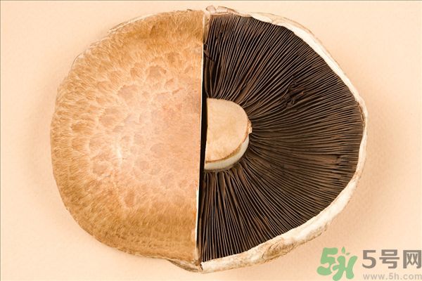 菇類的營養(yǎng)價值有哪些？怎樣挑選優(yōu)質(zhì)的菇類？