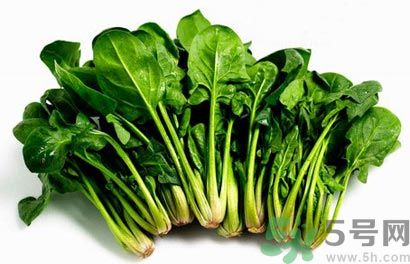 菠菜可以炒韭菜嗎？菠菜和韭菜一起吃怎么樣？