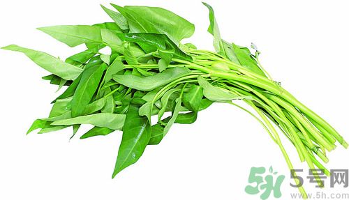 空心菜和雞能一起吃嗎？空心菜怎么吃有營養(yǎng)？