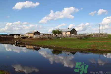 呼倫貝爾河為什么被污染？喝了呼倫貝爾河污染的水會怎么樣？