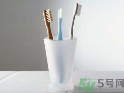 牙齦出血要換牙刷嗎？牙刷多久換一次好？