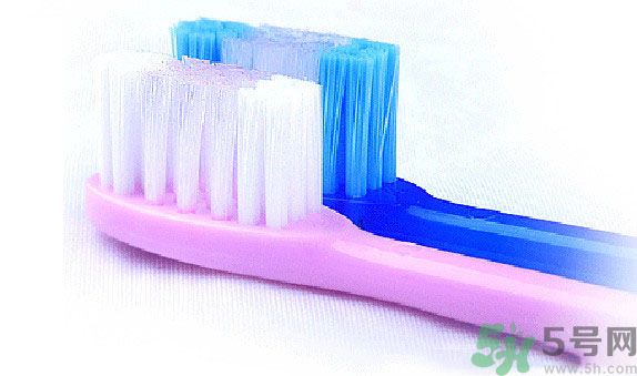 牙齦出血要換牙刷嗎？牙刷多久換一次好？