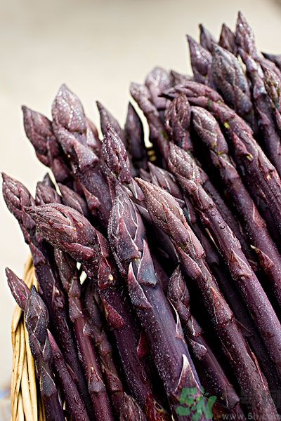 紫蘆筍是轉(zhuǎn)基因嗎？紫蘆筍和綠蘆筍哪個好？
